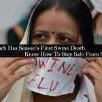 swine flu