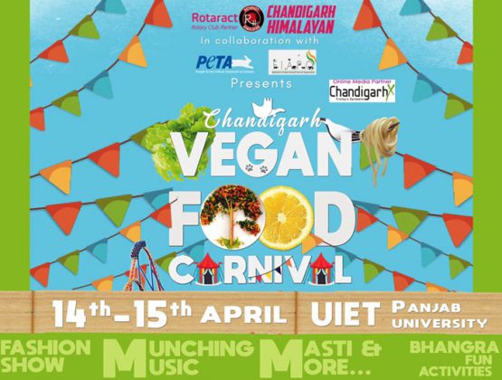 Chandigarh's First Ever Vegan Food Carnival is Here & We Can't Keep ...