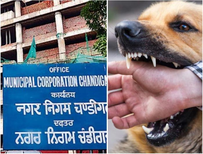 Dog Bite Victims To Get Compensation As Per MC Chandigarh