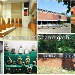 Museums-of-Chandigarh