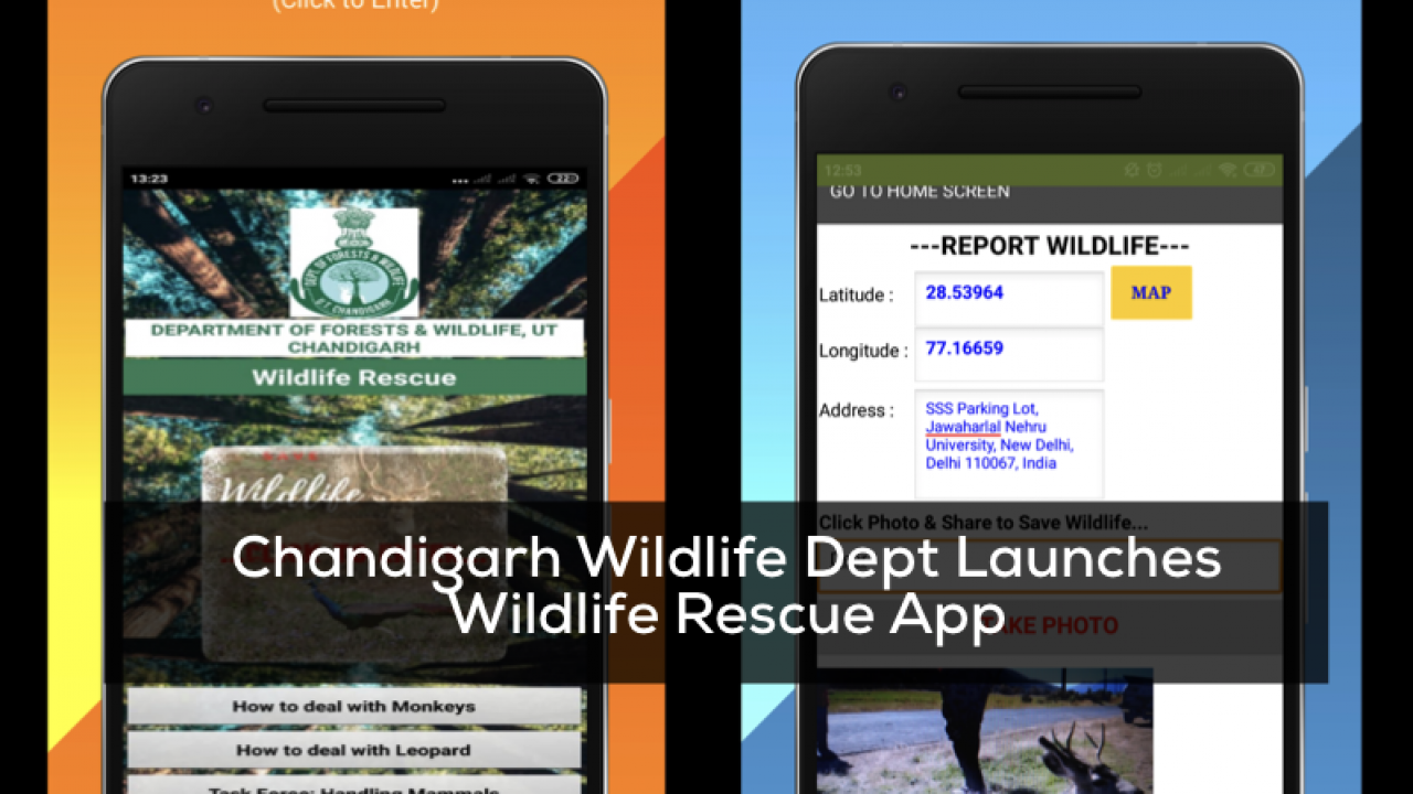 Chandigarh Forest Dept Launches App to Rescue Wildlife - ChandigarhX