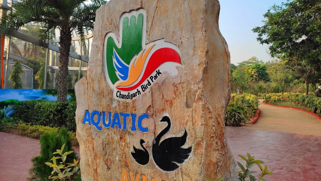acquatic aviary bird park chandigarh