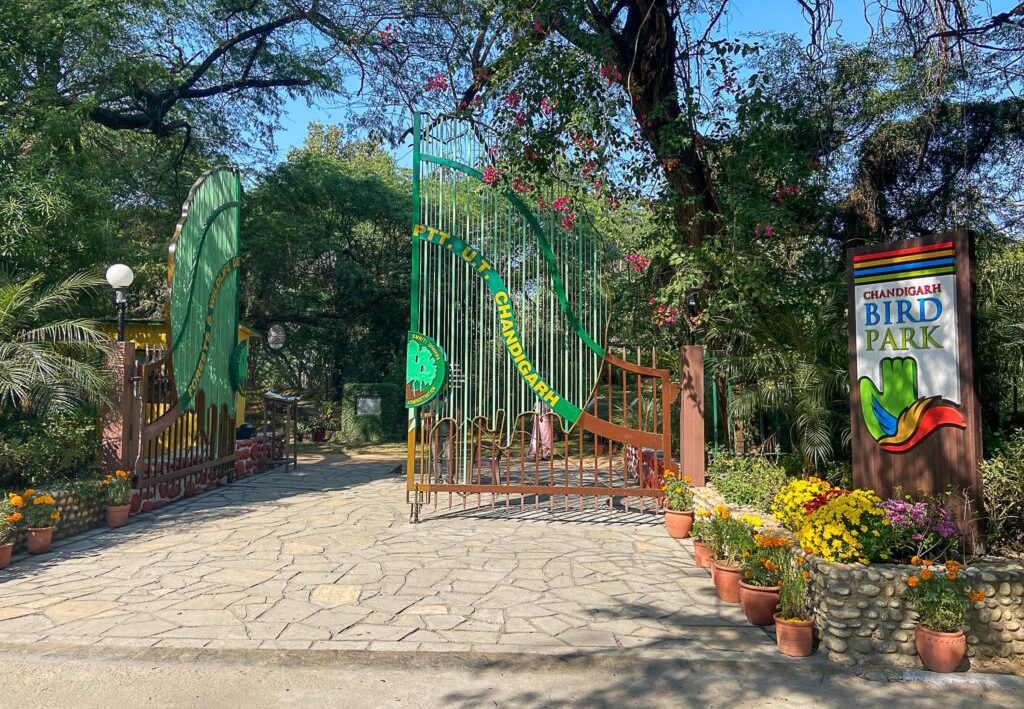 gate bird park chandigarh