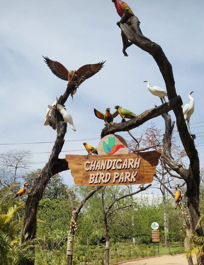 bird park chandigarh