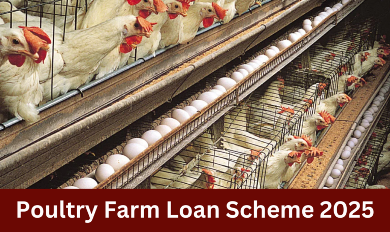 Poultry Farm Loan Scheme 2025