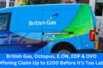 British Gas, Octopus, E.ON, EDF & OVO Offering Claim Up to £200 Before It’s Too Late