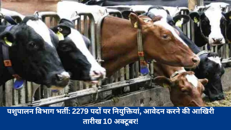 पशुपालन विभाग भर्ती: 2279 पदों पर नियुक्तियां, आवेदन करने की आखिरी तारीख 10 अक्टूबर